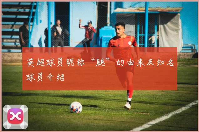 英超球员昵称“腿”的由来及知名球员介绍
