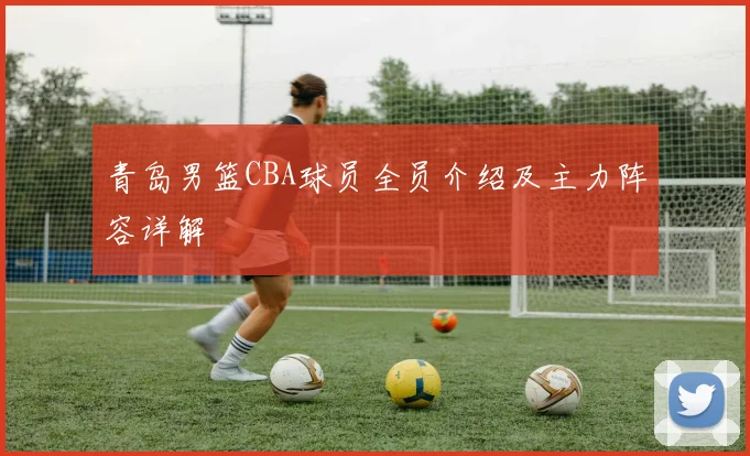 青岛男篮CBA球员全员介绍及主力阵容详解