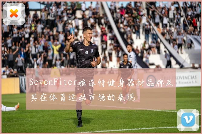 SevenFiter施菲特健身器材品牌及其在体育运动市场的表现