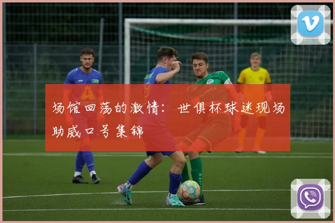 场馆回荡的激情：世俱杯球迷现场助威口号集锦